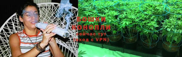 spice Алексин