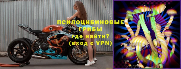 spice Алексин